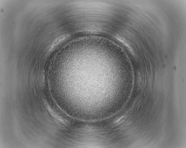 X0000086950494200704161457