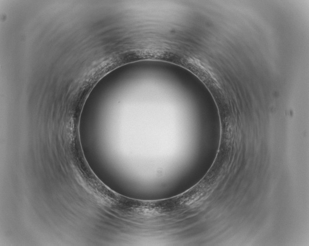 X0000086950498200704161457