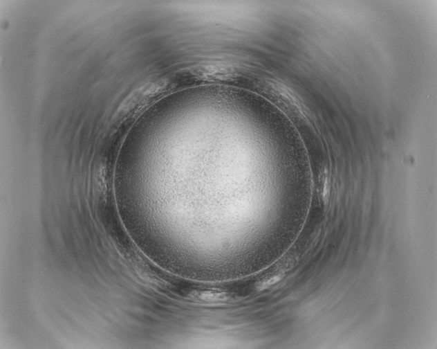 X0000086950506200704161457
