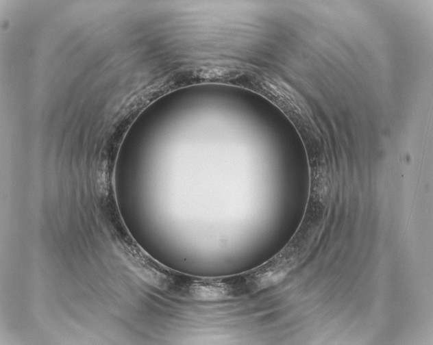 X0000086950510200704161457