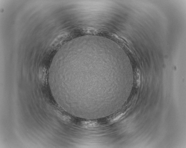 X0000086950511200704161457