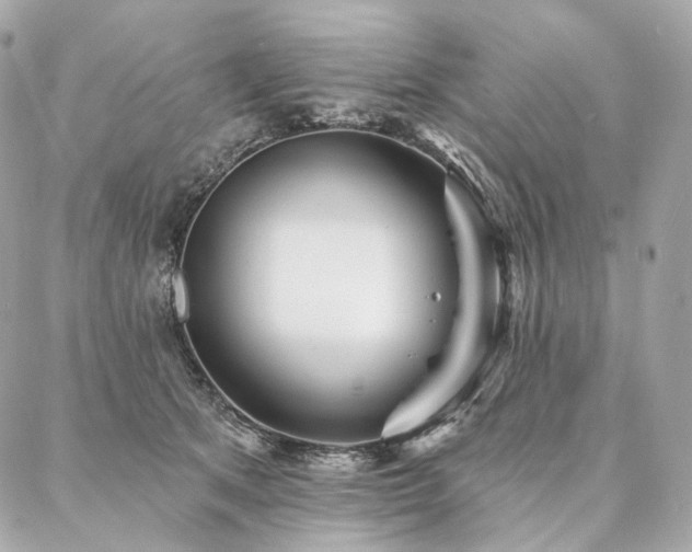X0000086950513200704161457