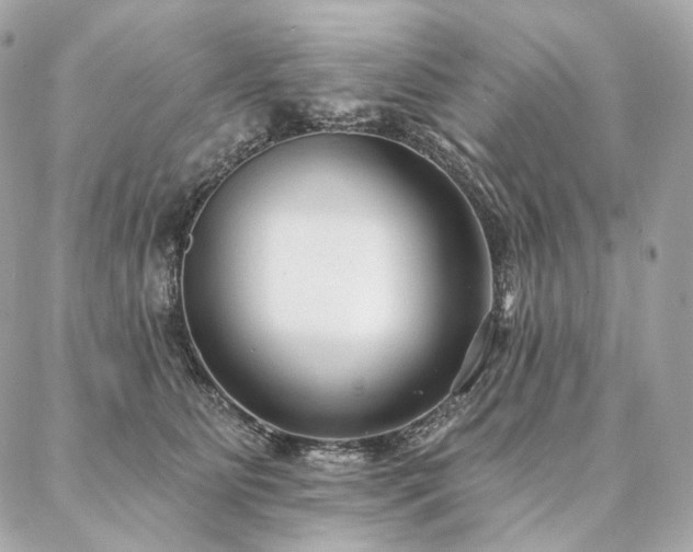 X0000086950515200704161457