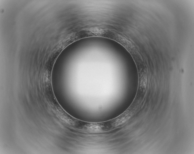 X0000086950518200704161457
