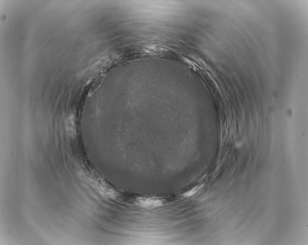 X0000086950520200704161457