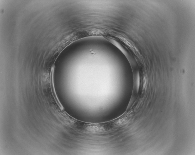 X0000086950521200704161457