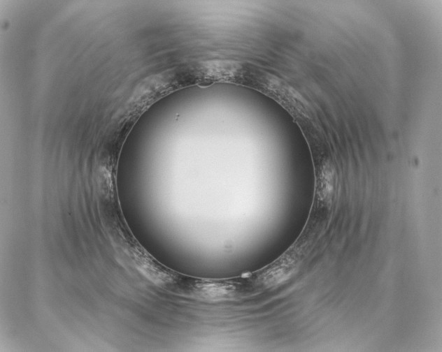 X0000086950522200704161457