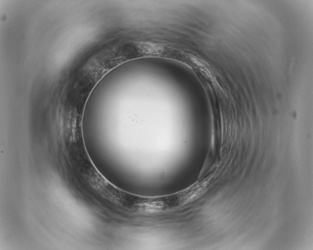 X0000086950525200704161457