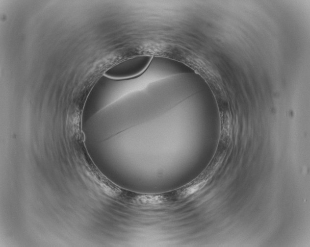 X0000086950526200704161457