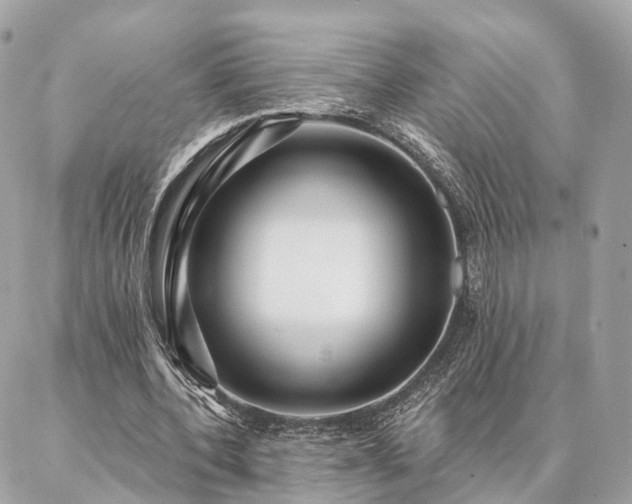 X0000086950532200704161456