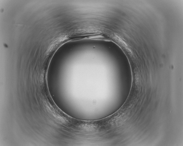 X0000086950537200704161456