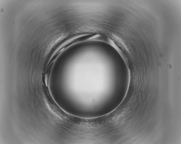 X0000086950538200704161456