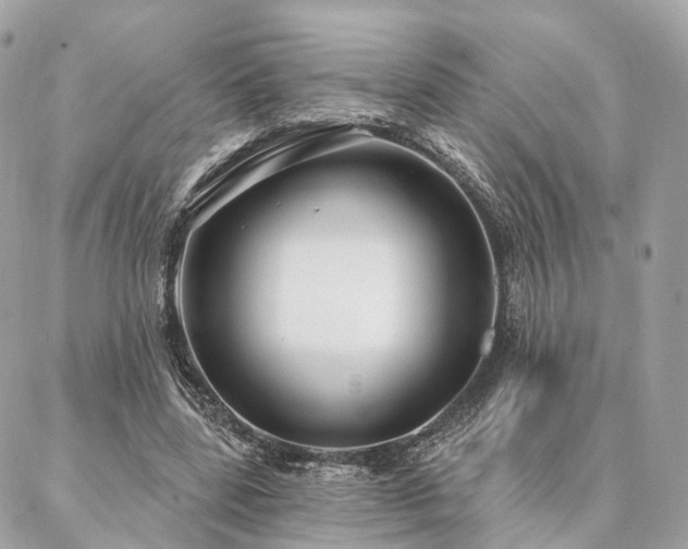 X0000086950539200704161456
