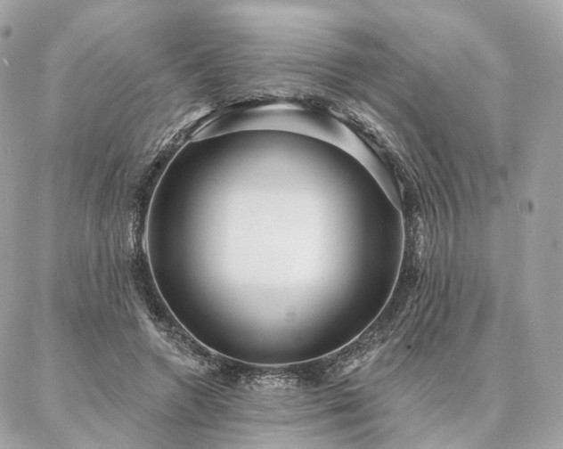X0000086950546200704161456