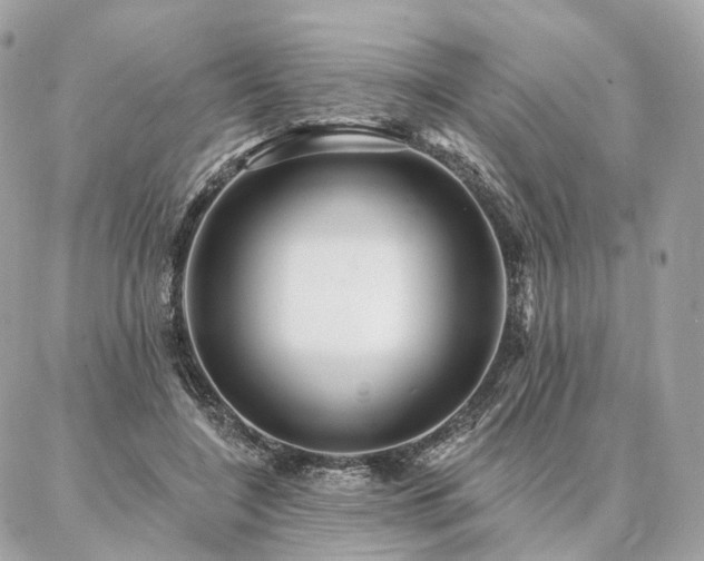 X0000086950548200704161456