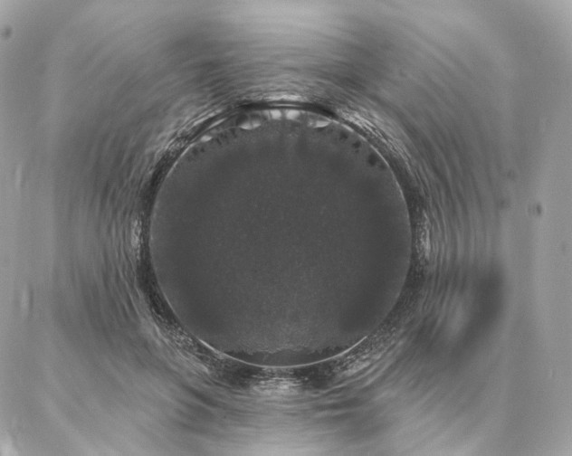 X0000086950551200704161456