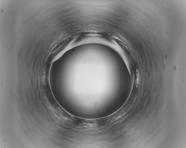 X0000086950552200704161456