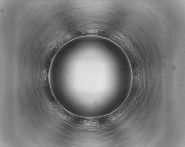 X0000086950555200704161456