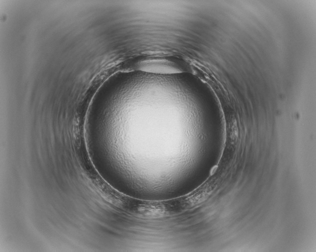 X0000086950559200704161456
