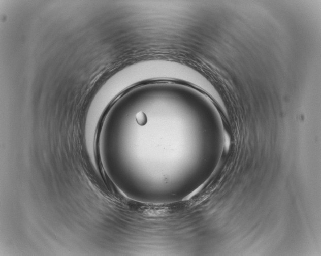 X0000086950560200704161456