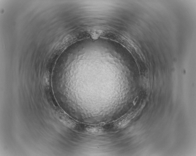 X0000086950561200704161456
