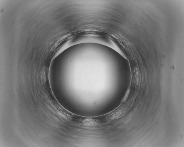 X0000086950562200704161456