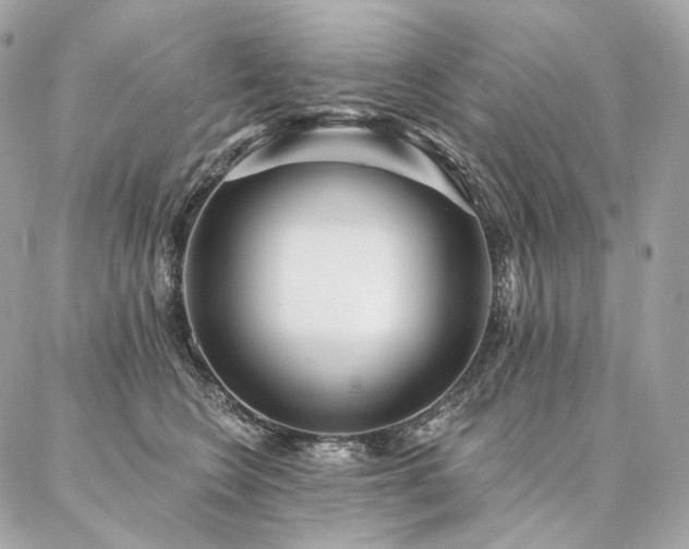 X0000086950566200704161456