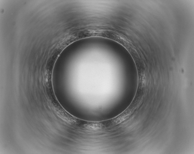 X0000086950567200704161456