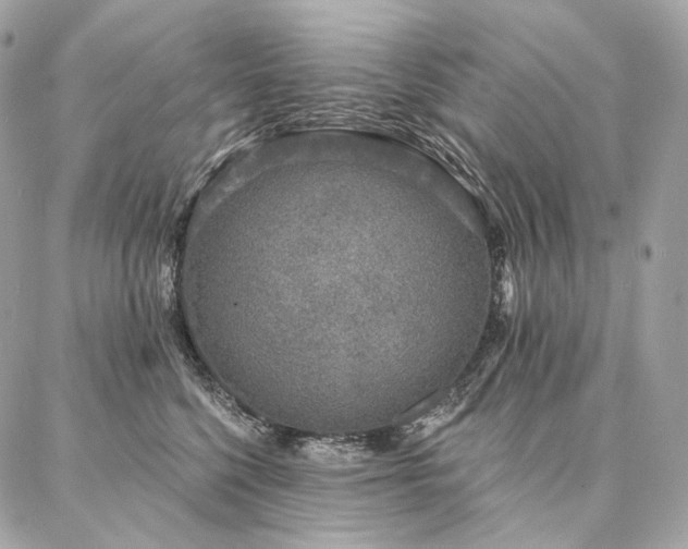 X0000086950568200704161456