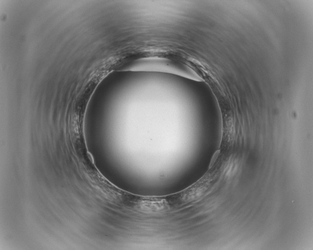 X0000086950571200704161457