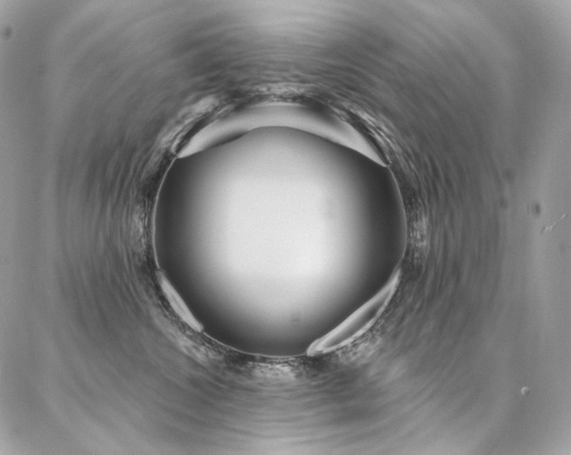 X0000086950572200704161457