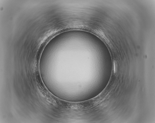 X0000086950579200704161456