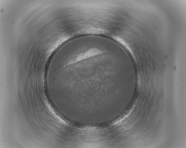X0000086950581200704161456