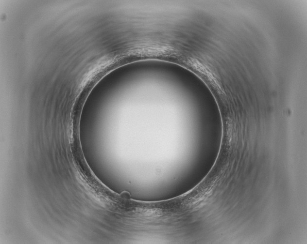 X0000086950582200704161456