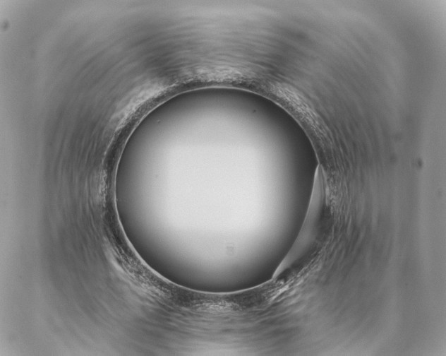 X0000086950583200704161456