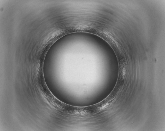 X0000086950591200704161456