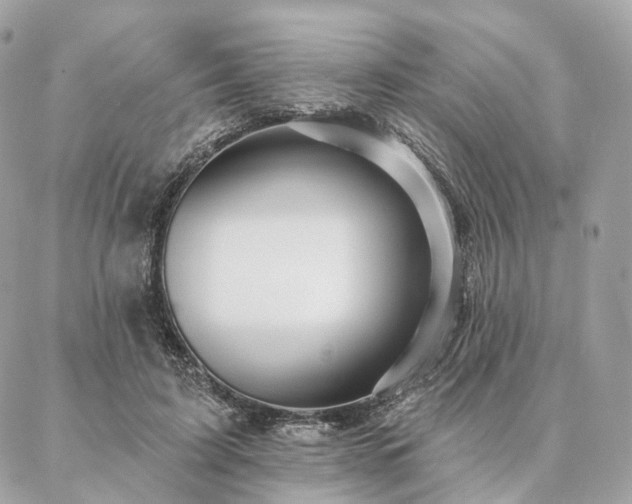 X0000086950595200704161456