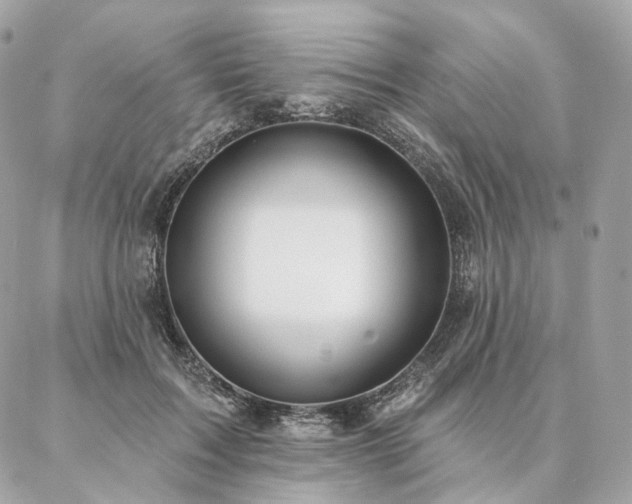 X0000086950603200704161455