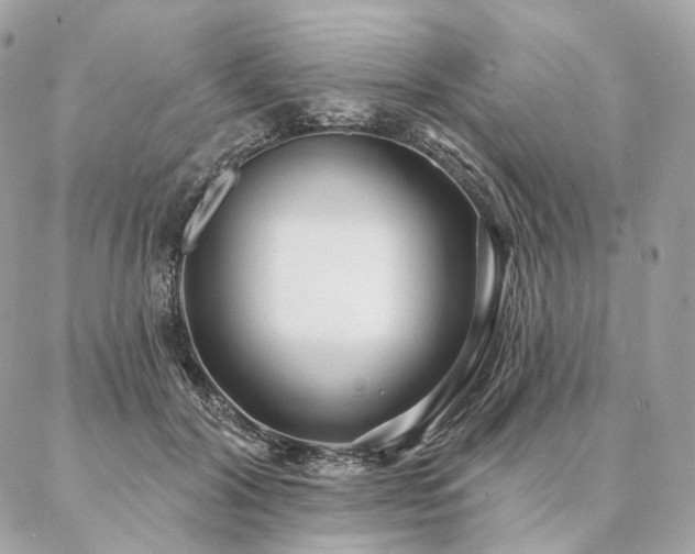 X0000086950604200704161455