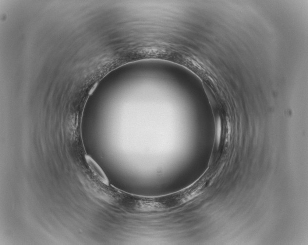 X0000086950605200704161455