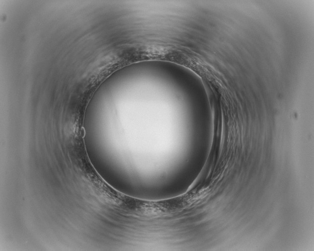 X0000086950608200704161455