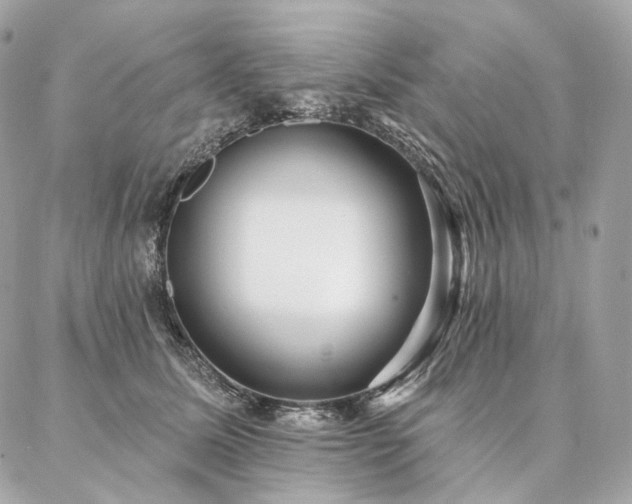X0000086950611200704161455