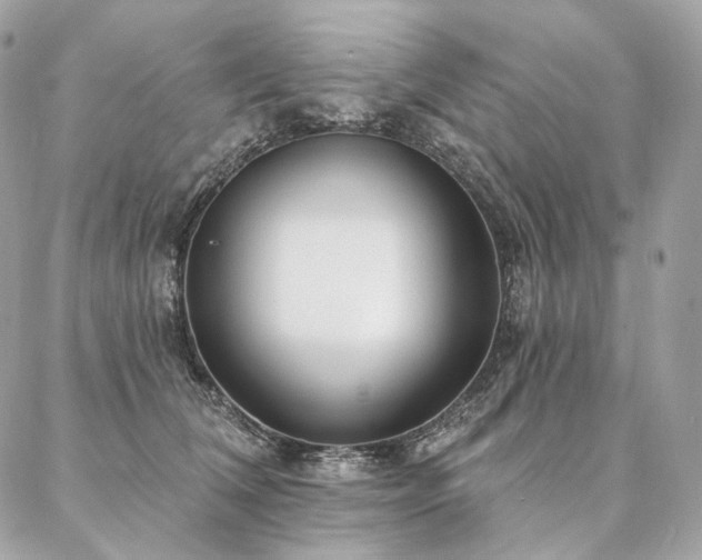 X0000086950612200704161455