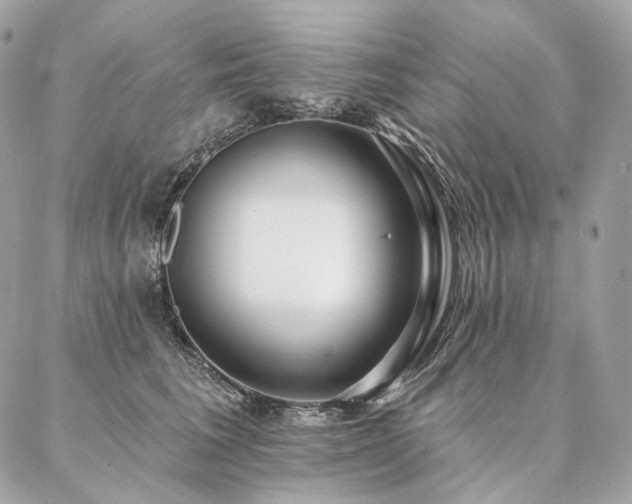 X0000086950613200704161455