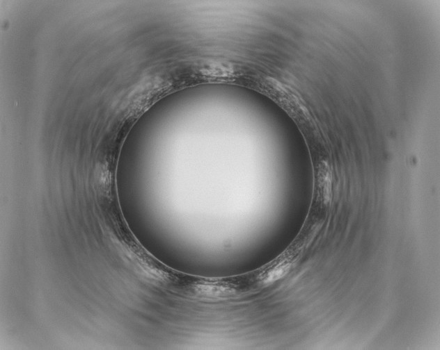 X0000086950614200704161455