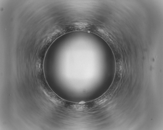 X0000086950615200704161455