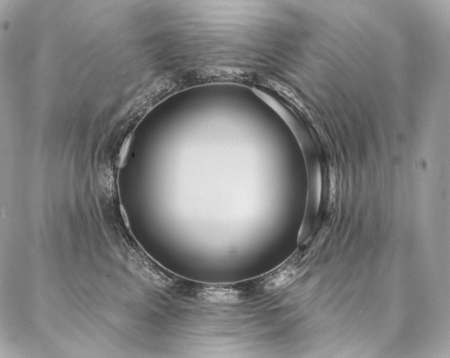 X0000086950617200704161455