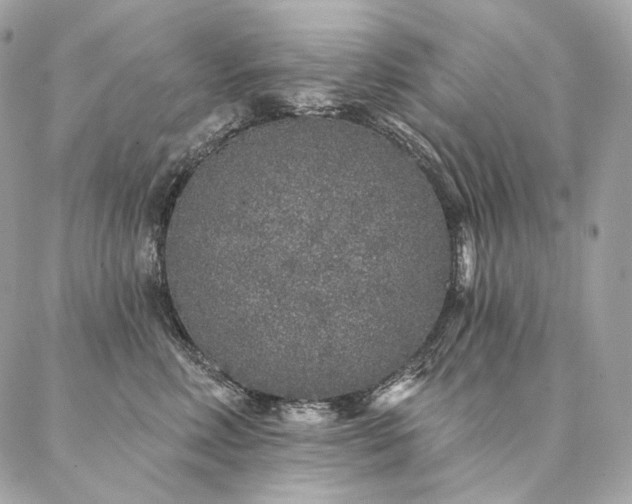X0000086950618200704161455