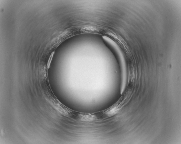 X0000086950621200704161455