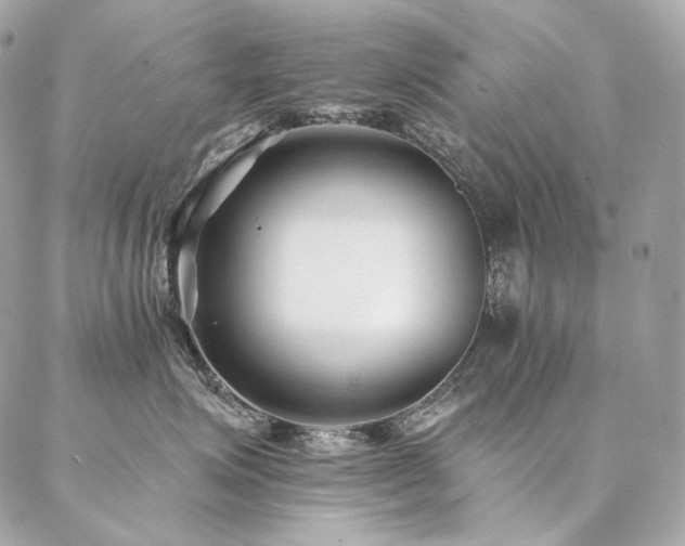 X0000086950623200704161455